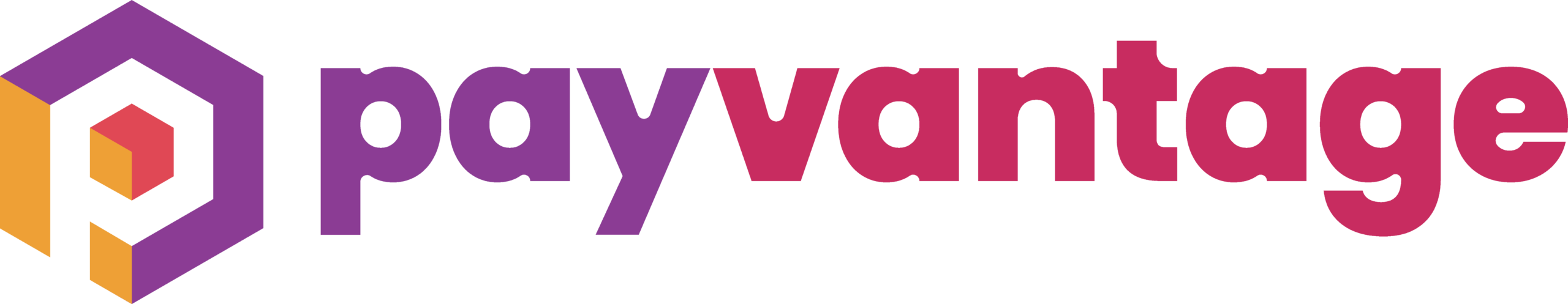 Payvantgae Logo New scaled
